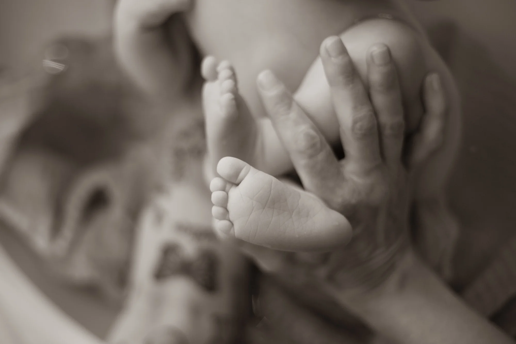 Au coeur de la naissance - Fondements périnatals adaptés à la pratique du bain Thalasso Bébé